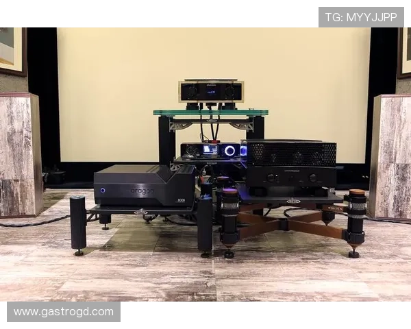 欧博会员端口功能特色与优势分析,提升您的会员体验与游戏乐趣 欧博会员端口功能特色与优势分析,提升您的会员体验与游戏乐趣