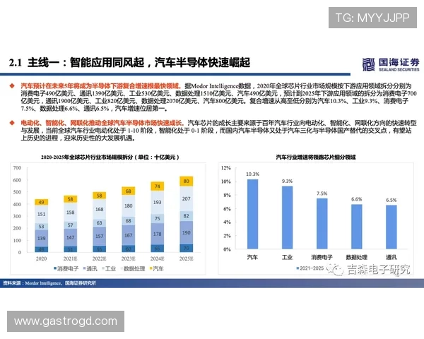 全面解析MG视讯游戏平台的安全保障措施，保障玩家资金与信息安全